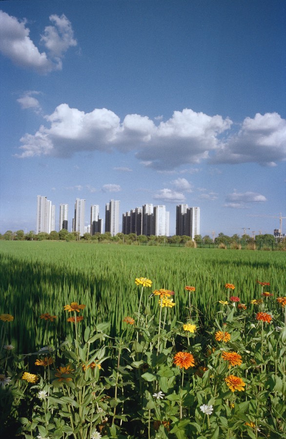 Selected Works photo 5