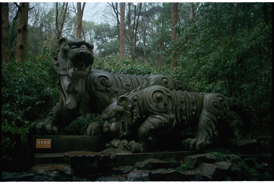 Selected Works photo 24
