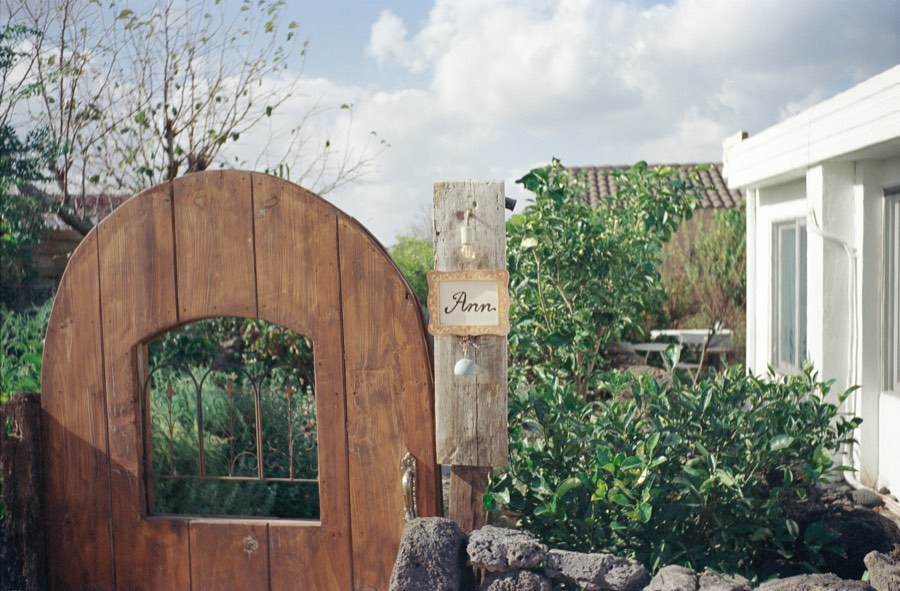 Selected Works photo 25